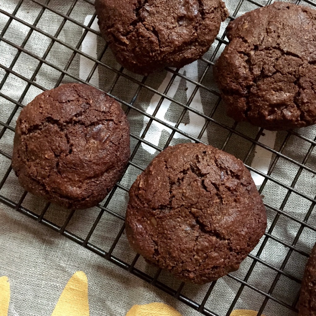 chocolate chip cookie 1
